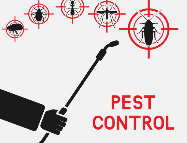 Pest Control Company