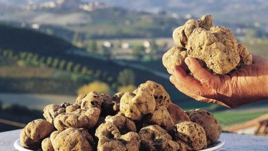 white truffles