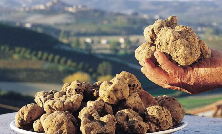 white truffles