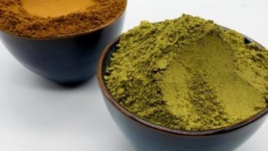 Kratom Mitragyna Speciosa