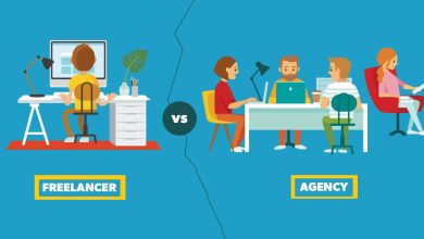 Professional Web Design Company vs Freelancer