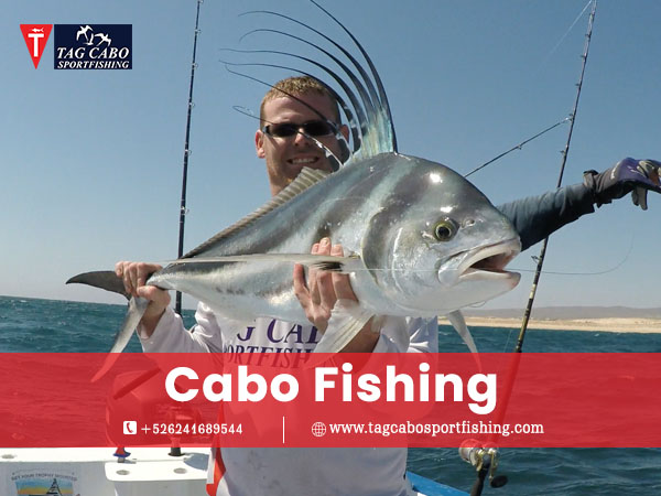 cabo fishing