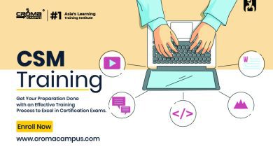 CSM Online Certification