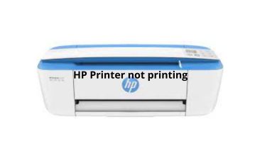 HP Printer not printing