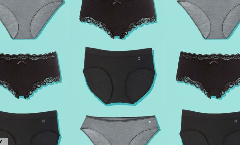 7 Best Underwear for Women