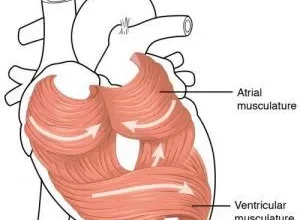 Coronary artery disease Alamogordo