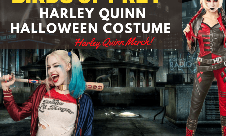 Birds of Prey Harley Quinn Halloween Costume