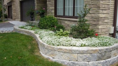 retaining wall