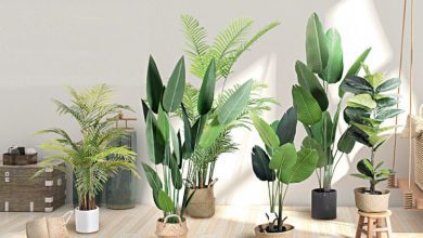 Artificial Plants and greenery
