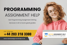 Programming Assignment help