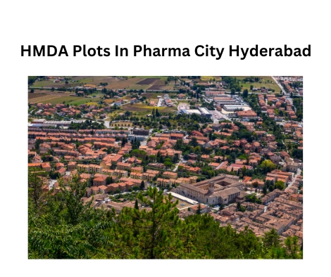 HMDA Plots