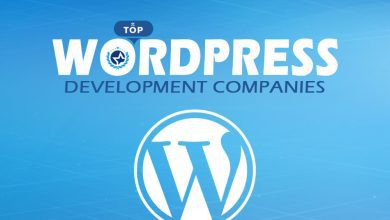 top wordpress devlopment companies