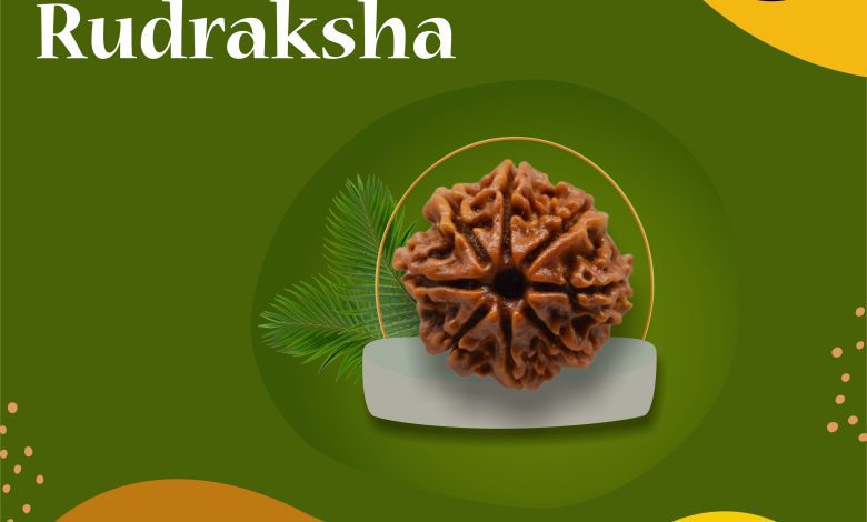 Mukhi Rudraksha