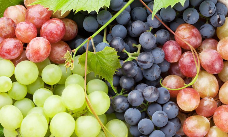 Grapes have a variety of health advantages.