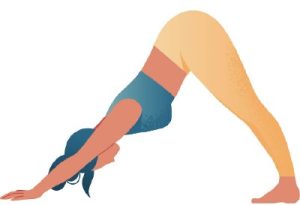 Adho-Mukha-Svanasana