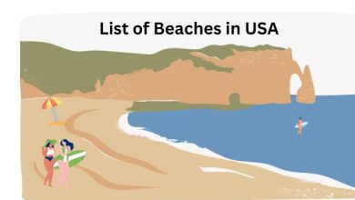 Beaches in America