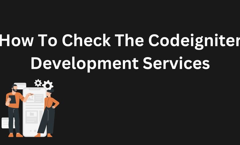 Codeigniter Development Services