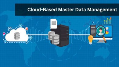 Cloud-Based Master Data Management