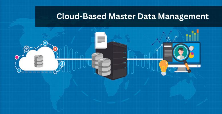 Cloud-Based Master Data Management