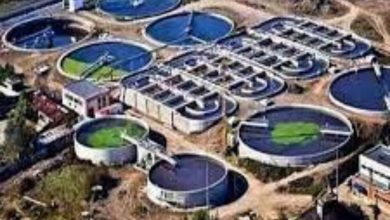 Sewage Treatment Plant Service