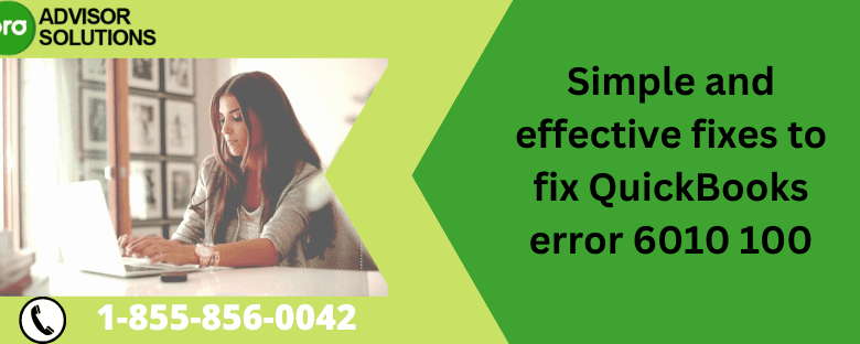 QuickBooks error 6010 100