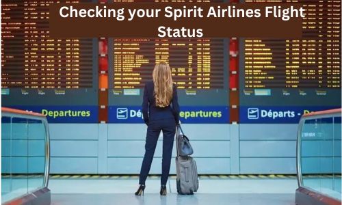 Spirit Airlines Flight Status