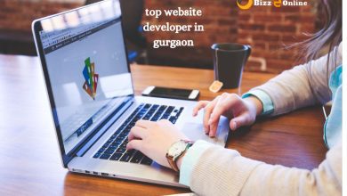 Bizzeonline top website developer in gurgaon Open Source