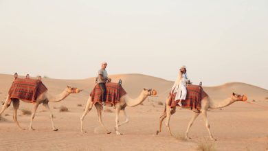 Desert Safari in Dubai