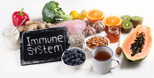 Foods for Boosting the Immune System