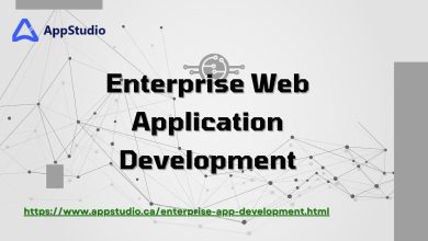 Enterprise Web Application Development