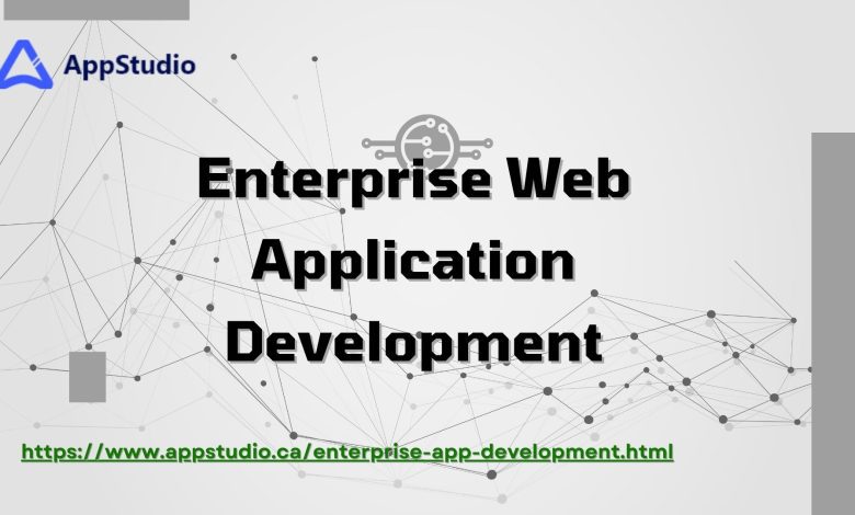 Enterprise Web Application Development