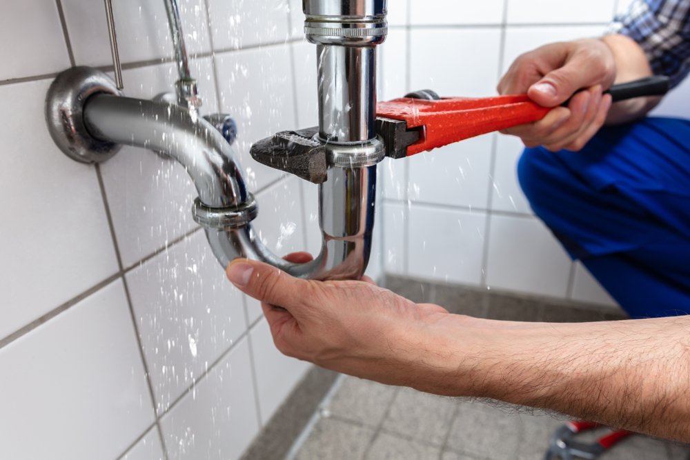 Plumbers Diagnose