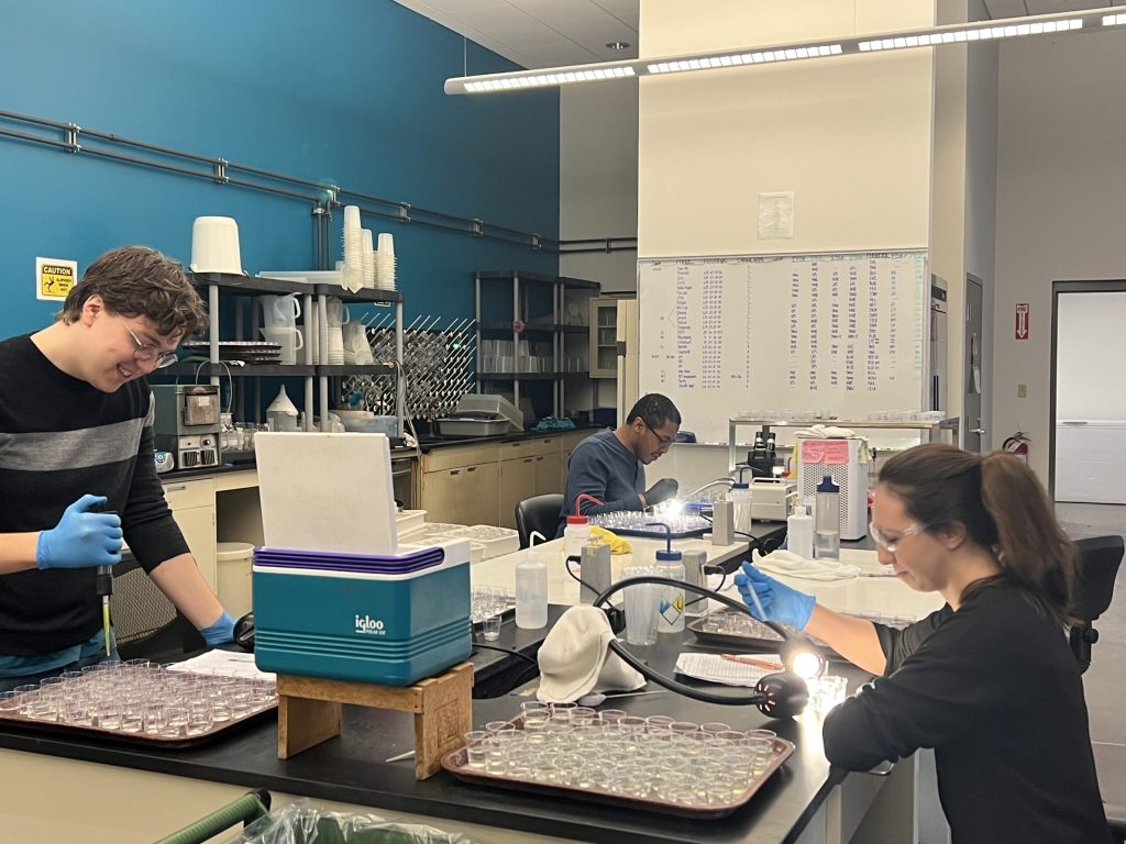 Bioassay Testing