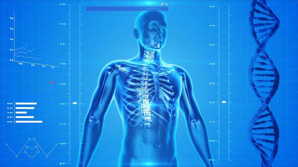Chiropractic Care