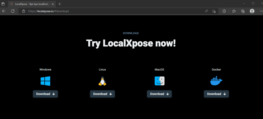 LocalXpose