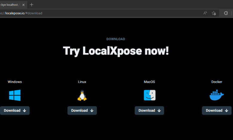 LocalXpose