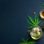 Cannabis