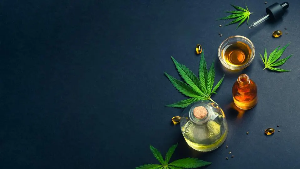 Cannabis