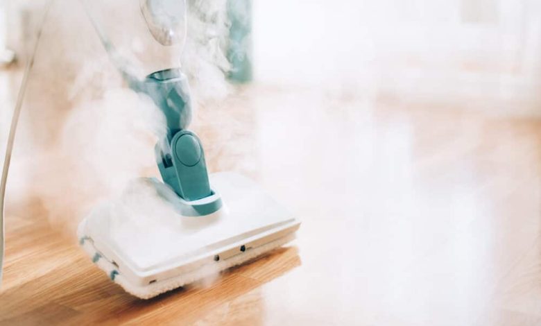 Steam Cleaner