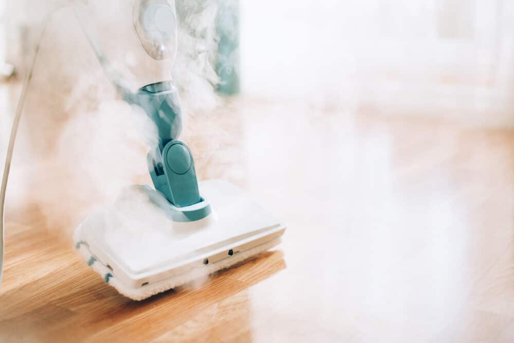 Steam Cleaner